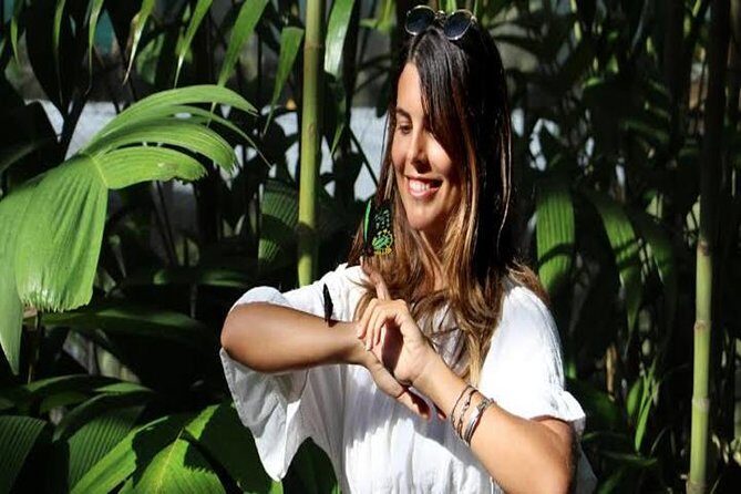 Kuranda Day Tour, TKS-3 Wildlife Gold 930 - Value Analysis: Is It Worth It?