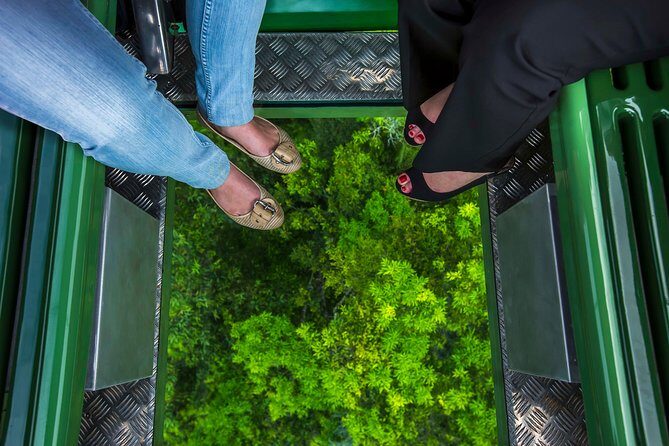 Kuranda Day Tour, TKS-3 Wildlife Gold 930 - Real Travelers’ Insights