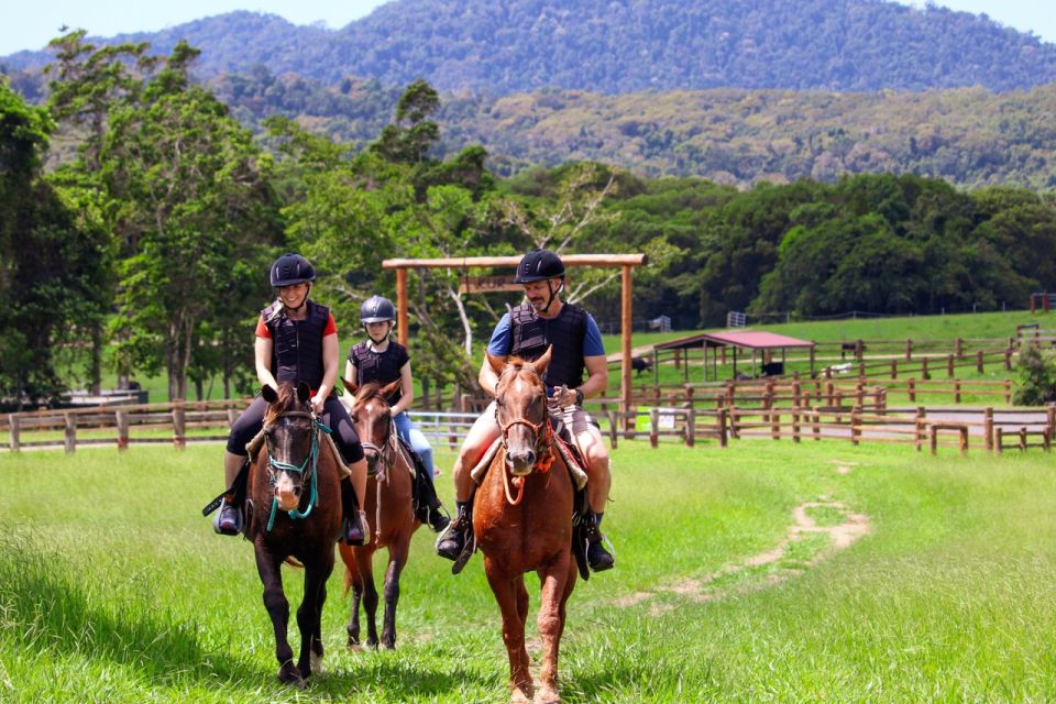 Kuranda Half Day With Petting Zoo & Horse Trail Ride Tour - Not Suitable For