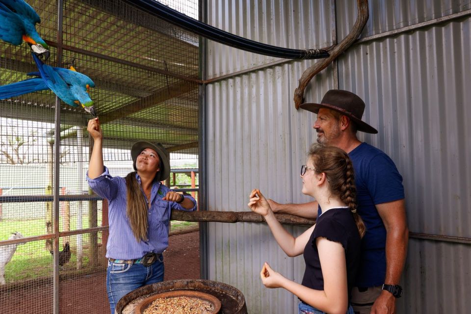 Kuranda Half Day With Petting Zoo & Horse Trail Ride Tour - Itinerary