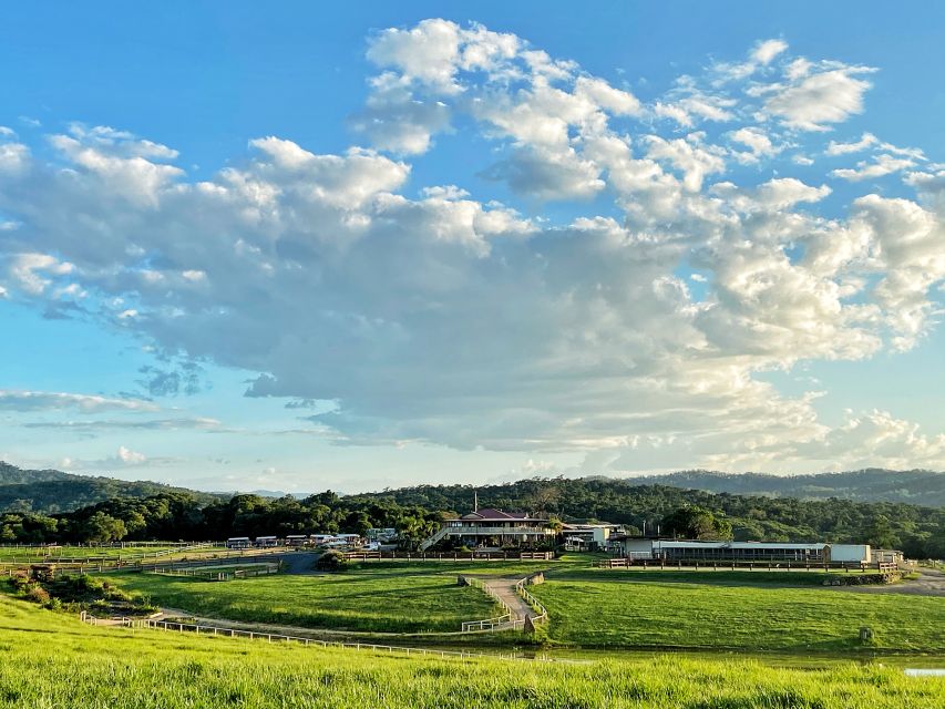 Kuranda Half Day With Petting Zoo & Horse Trail Ride Tour - Important Information