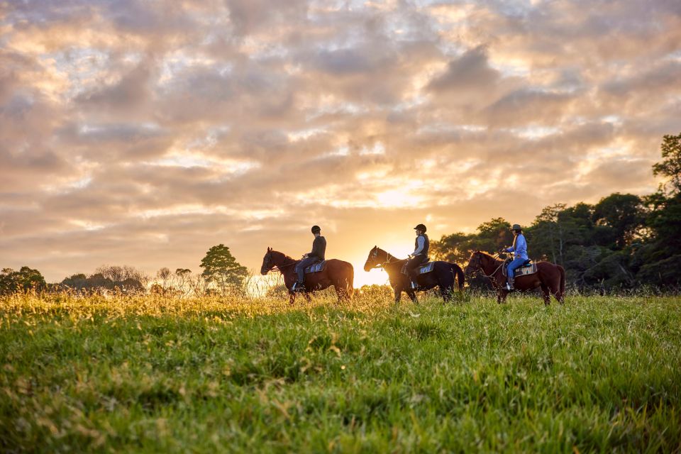 Kuranda Half Day With Petting Zoo & Horse Trail Ride Tour - Customer Reviews