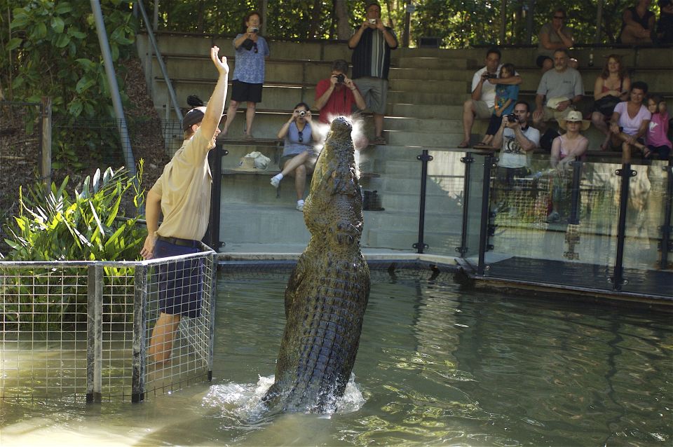 Kuranda & Hartleys Crocodile Adventures - Inclusions