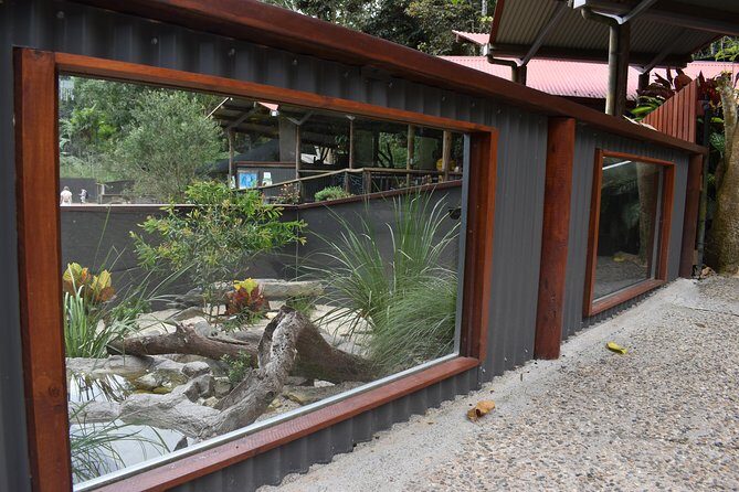 Kuranda Koala Gardens and Birdworld Admission Tickets - Engaging with Australia’s Wildlife: A Complete Look at the Kuranda Koala Gardens and Birdworld Tour