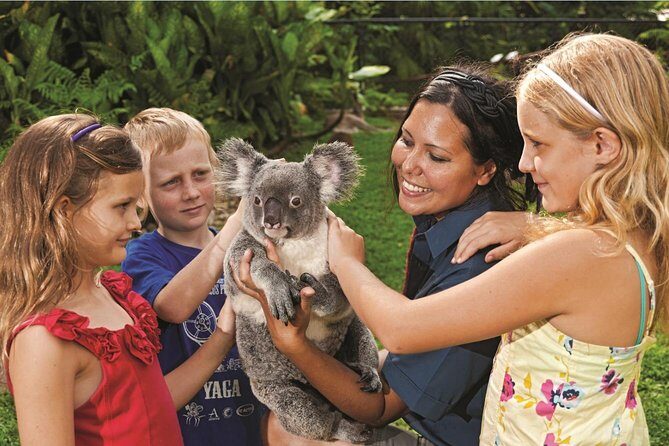 Kuranda Koala Gardens General Entry Ticket - What Visitors Say