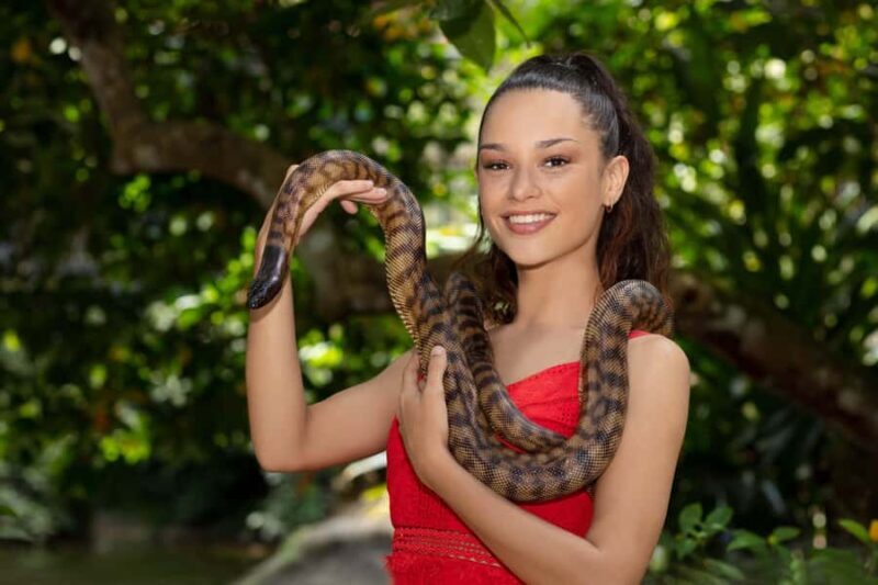 Kuranda Koala Gardens Park Entry - The Sum Up