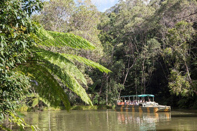 Kuranda Village, Army Duck Tour with Train and Skyrail (KDB) - The Skyrail Rainforest Cableway: Soaring Over the Canopy