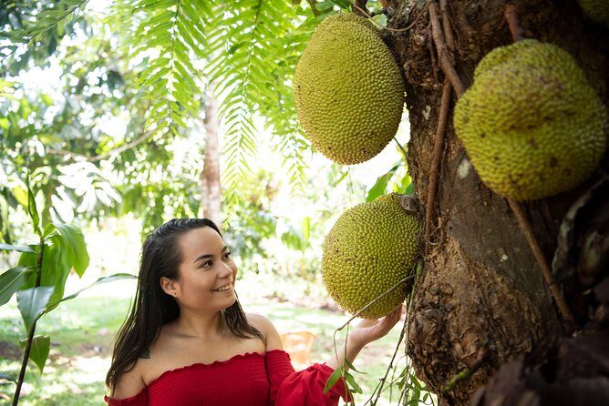 Kuranda Village, Army Duck Tour with Train and Skyrail (KDB) - Reviewing the Experience: What Travelers Are Saying