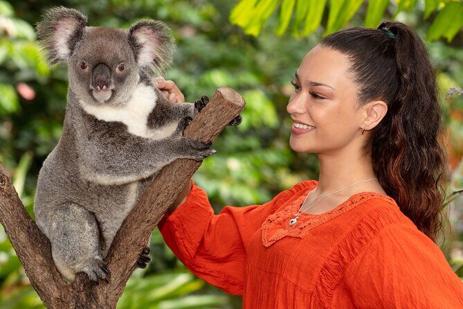 Kuranda Wildlife Experience Deluxe Multi Attraction Pass - Birdworld Kuranda