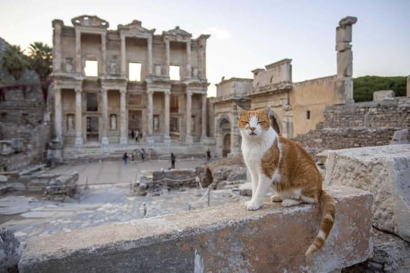 Kusadasi: All Inclusive Ephesus Tour With Lunch - An Overview of What You Can Expect