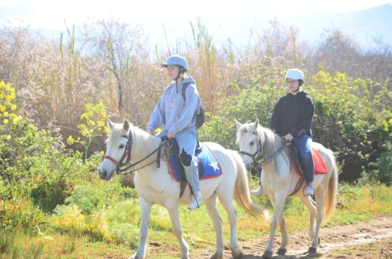 Kusadasi: Beach and Forest Horse Riding Tour - Experience and Highlights