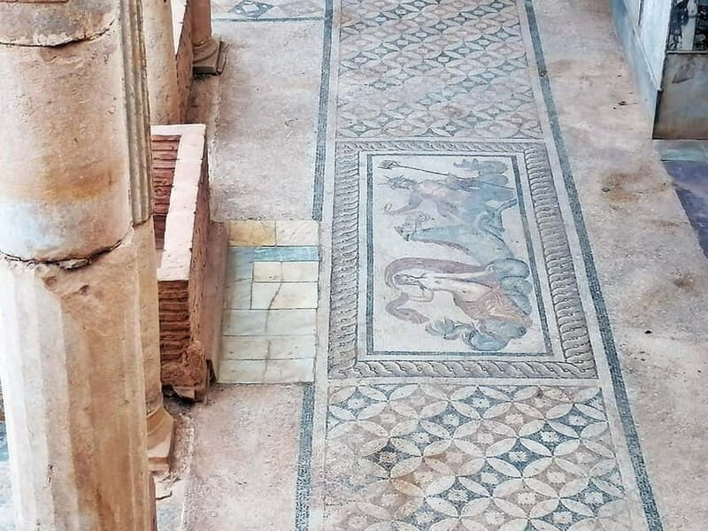 Kusadasi: Ephesus Private Tour (No Frill) - Value and Pricing