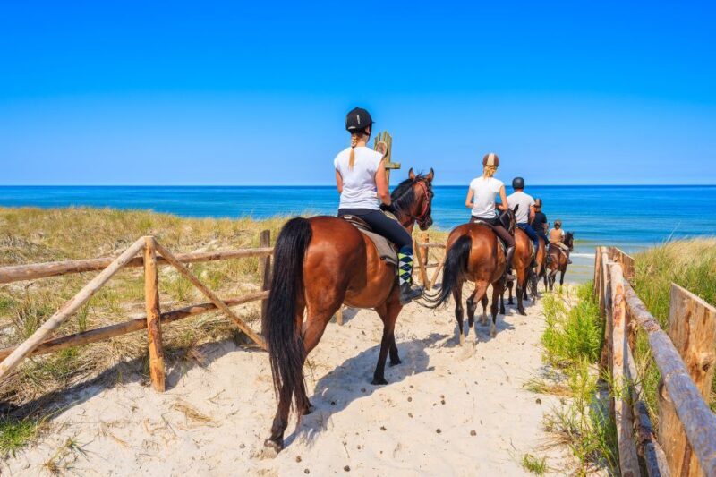 Kusadasi: Horse Riding Beach and Forest w/Transfer - Final Thoughts: Who Should Consider This Tour?