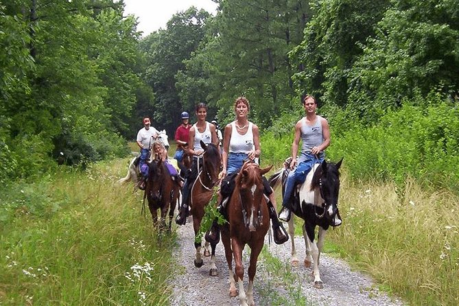Kusadasi Horseback Riding - Customer Feedback and Ratings