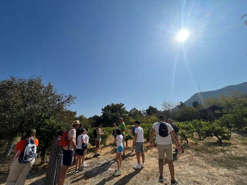 Kusadasi Village Tour & Traditional Food Tasting - The Logistics