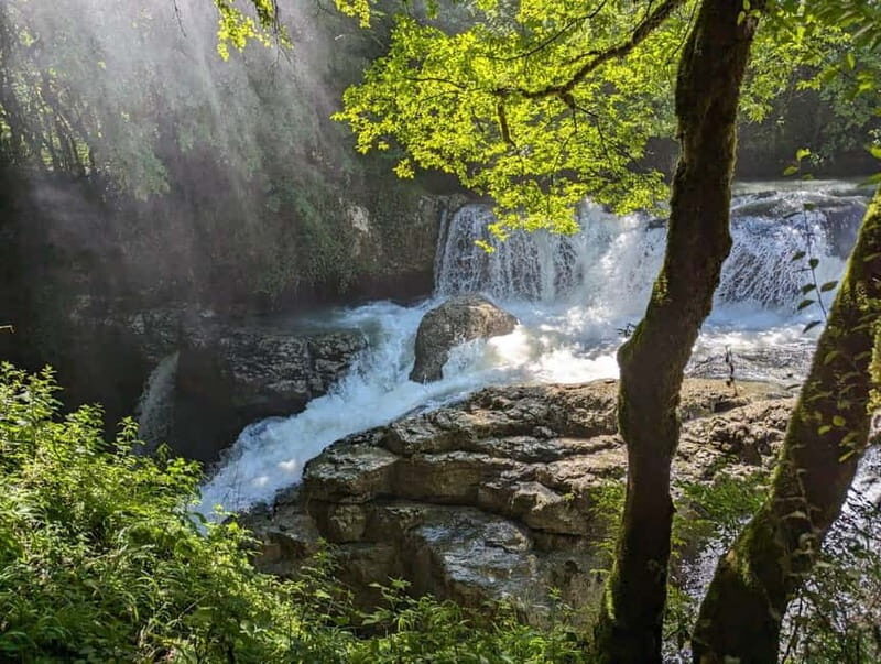 Kutaisi: Prometheus Cave & Martvili Canyon Guided Tours - Who Will Love This Tour?