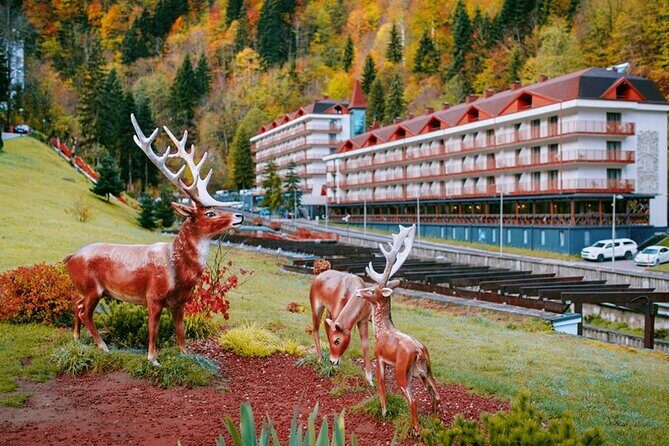 Kutaisi to Vani: Natural Spa Experience - What Past Travelers Say