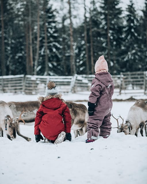 Kuusamo: Reindeer Sleigh Ride and Farm Visit - Discovering the Reindeer World of Kuusamo