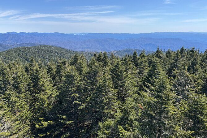 Kuwohi Mountain Great Smoky Mountains Tour - Key Points