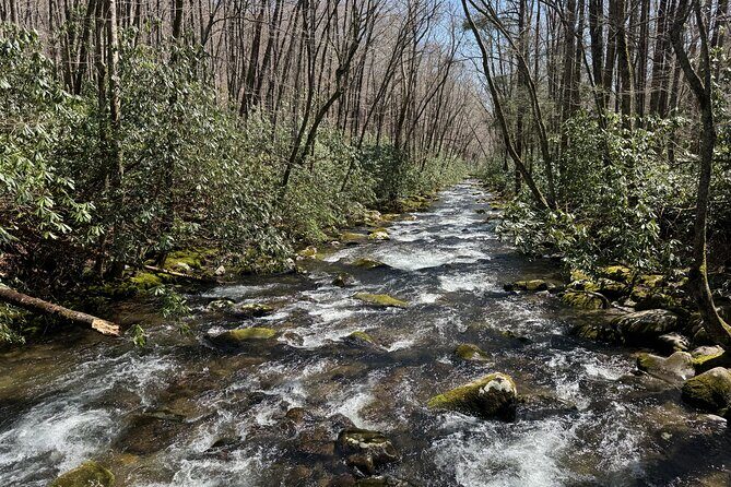 Kuwohi Mountain Great Smoky Mountains Tour - FAQ