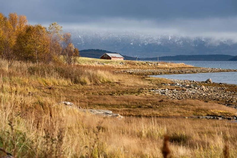 Kvaløya Island: Photography Tour with Snacks - Final Thoughts