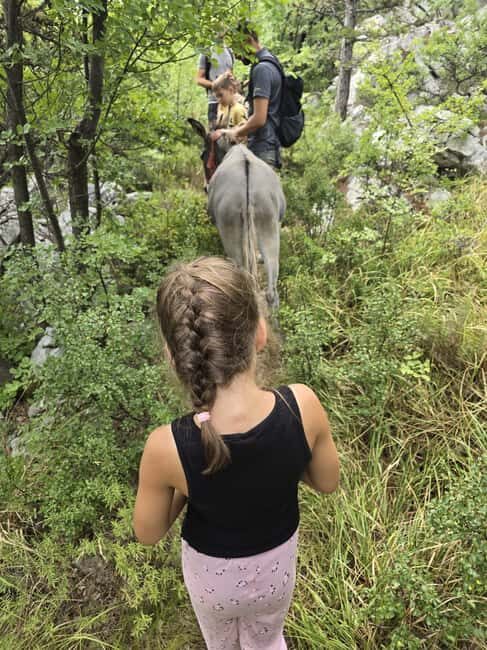 Kvarner/mrika Guided Donkey Walk, Cave & Scenic Picnic Spot - Key Points