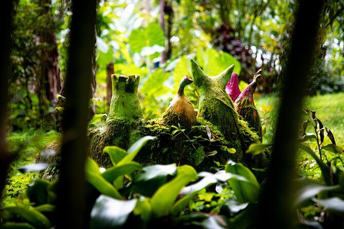 Kvasirs Meadery Experience on the Big Island - Setting and Location