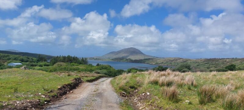 Kylemore, Sheep Farm and Connemara Private Limousine Tour - Key Attractions