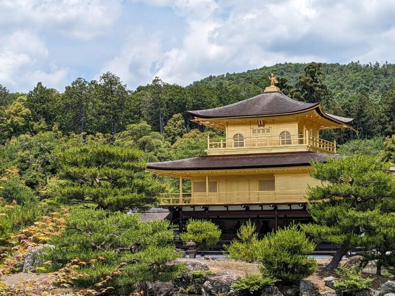 Kyoto: 100% Private Custom Tour (4/8 Hrs) - Guided Experience Details