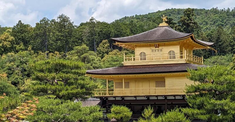 Kyoto: 100% Private Custom Tour (4/8 Hrs) - Inclusions and Exclusions