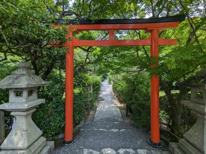 Kyoto: 100% Private Custom Tour (4/8 Hrs) - Personalization Options
