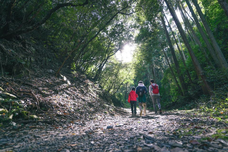 Kyoto: 3-Hour Fushimi Inari Shrine Hidden Hiking Tour - Key Points