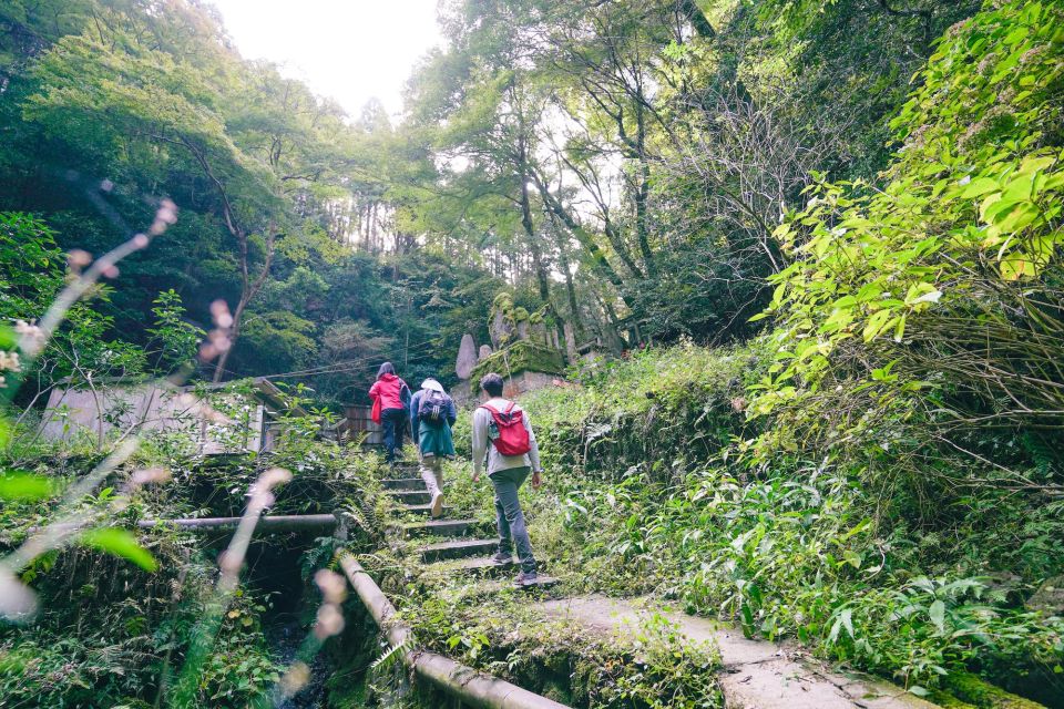 Kyoto: 3-Hour Fushimi Inari Shrine Hidden Hiking Tour - Frequently Asked Questions