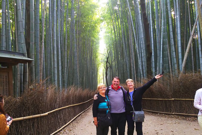 Kyoto and Osaka Splendid Two-Day Walking Tour - Accessibility and Fitness Level