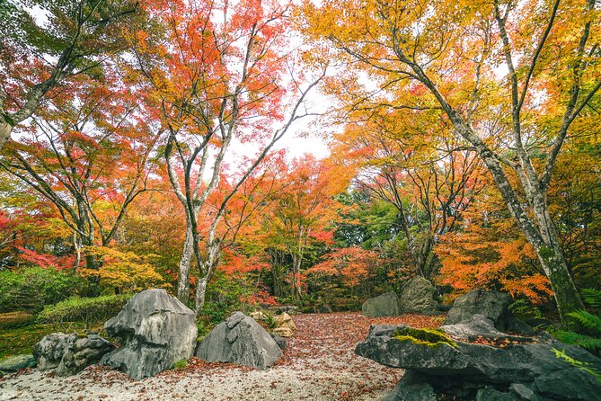 Kyoto Arashiyama Bamboo Forest & Garden Half-Day Walking Tour - Tour Duration and Size