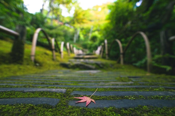 Kyoto Arashiyama Bamboo Forest & Garden Half-Day Walking Tour - Guest Reviews and Rating
