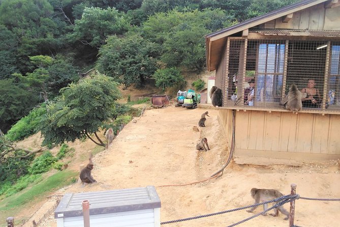 Kyoto Arashiyama & Golden Pavilion One-Day Walking Tour - Meeting and Pickup Information