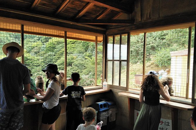 Kyoto Arashiyama & Golden Pavilion One-Day Walking Tour - Customer Feedback and Host Response