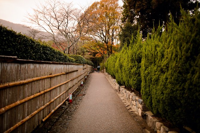 Kyoto Bamboo Forest Electric Bike Tour - Confirmation and Accessibility