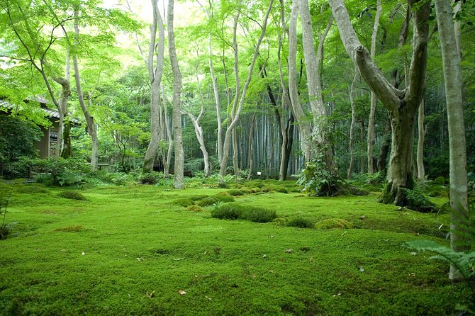 Kyoto Bamboo Forest Electric Bike Tour - Physical Fitness Requirements