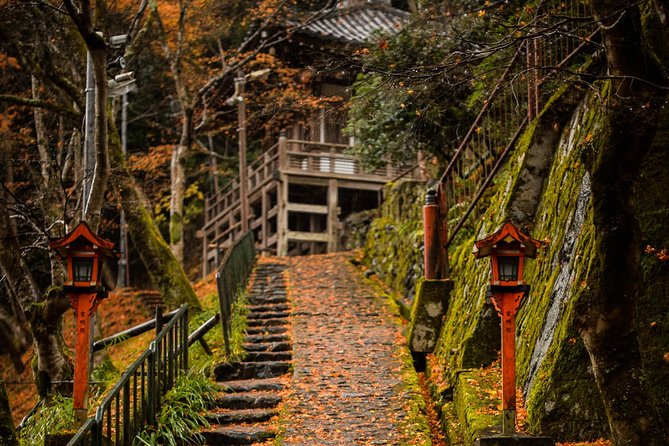 Kyoto Bamboo Forest Electric Bike Tour - Age and Group Size Limit