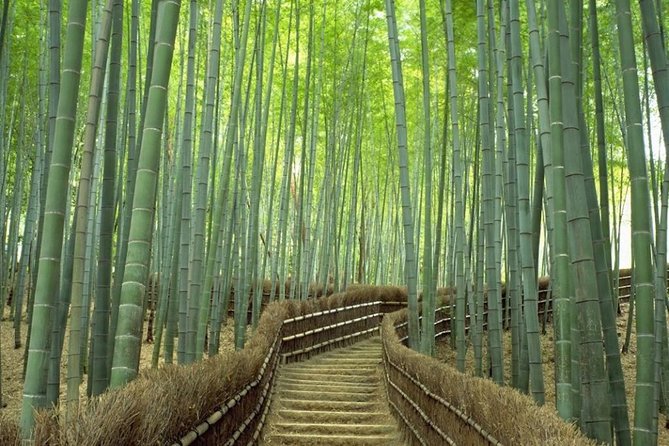 Kyoto Day Trip Using Private Car With English Driver (Up to 5) - Key Attractions