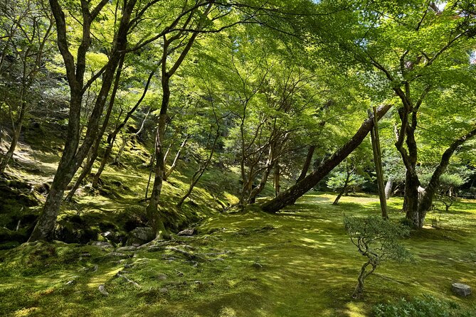 Kyoto: Discover Every Bit of Ginkakuji Temple in 60 Minutes - The Pond and Moss Garden