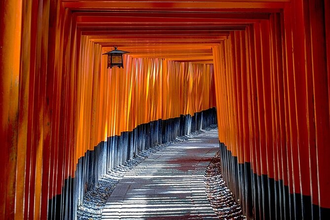 Kyoto Full Day Tour With a Local Travel Companion - Booking and Cancellation Policy