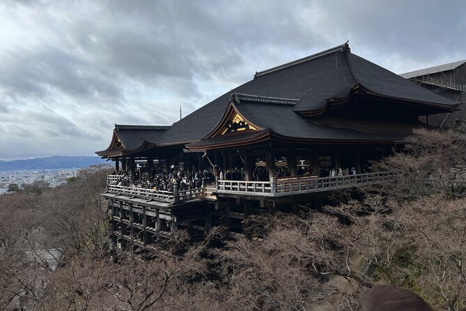 Kyoto: Golden Pavilion, Nijo Castle, Nishiki Market (English) - Tour Overview