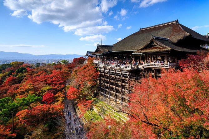 Kyoto: Golden Pavilion, Nijo Castle, Nishiki Market (English) - Nishiki Market