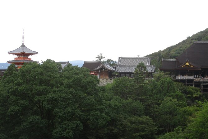 Kyoto ITALIAN GUIDE, Kiyomizu Temple Gion Pagoda Maiko Geisha - Wandering Through Gion