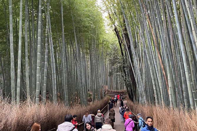 KYOTO-NARA Custom Tour With Private Car and Driver (Max 13 Pax) - Customization Options