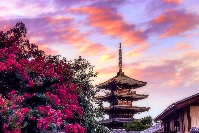 Kyoto, Osaka, Nara Private Tour by Car English Driver Guide - Itinerary in Kyoto