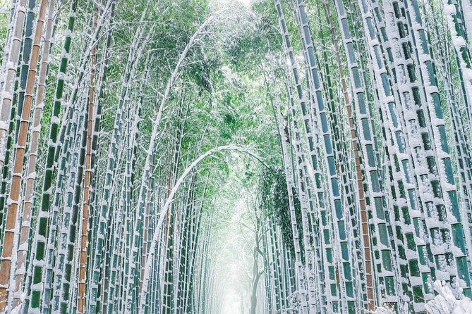 Kyoto, Osaka, Nara Private Tour by Car English Driver Guide - Customizable Options